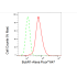 KD-Validated BubR1 Rabbit mAb (20 μl)
