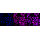 KD-Validated BubR1 Rabbit mAb (20 μl)