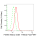 KD-Validated FTH1 Rabbit mAb (20 μl)