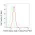 KD-Validated FTH1 Rabbit mAb (20 μl)