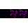 KD-Validated FTH1 Rabbit mAb (20 μl)