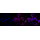 KD-Validated Phospho-GSK3B (Ser9) Rabbit mAb (20 μl)