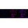 KD-Validated ACAD3 Rabbit mAb (20 μl)