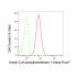 KD-Validated ACAT Rabbit mAb (20 μl)