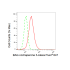 KD-Validated BAG3 Rabbit mAb (20 μl)