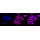 KD-Validated BAG3 Rabbit mAb (20 μl)
