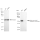 KD-Validated AAMP Rabbit mAb (20 μl)