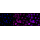 KD-Validated Arp3 Rabbit mAb (20 μl)