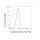 KD-Validated ACTL6A Rabbit mAb (20 μl)