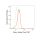 KD-Validated DAXX Rabbit mAb (20 μl)