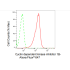 KD-Validated CDKN1B Rabbit mAb (20 μl)
