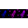 KD-Validated CDKN1B Rabbit mAb (20 μl)
