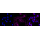 KD-Validated Phospho-PKR (T451) Rabbit mAb (20 μl)