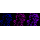 KD-Validated RING1 Rabbit mAb (20 μl)