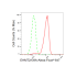 KD-Validated EHMT2 Rabbit mAb (20 μl)