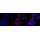 KD-Validated HXK1 Rabbit mAb (20 μl)