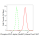 KD-Validated Phospho-PKC alpha (Ser657) Rabbit mAb (20 μl)