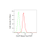 KD-Validated DLAT Rabbit mAb (20 μl)