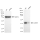 KD-Validated ALKBH1 Rabbit mAb (20 μl)