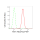 KD-Validated AKT1 Rabbit mAb (20 μl)