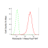 KD-Validated Fibronectin 1 Rabbit mAb (20 μl)