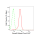 KD-Validated Smad2 Rabbit mAb (20 μl)