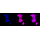 KD-Validated Smad2 Rabbit mAb (20 μl)