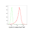 KD-Validated BCL1 Rabbit mAb (20 μl)