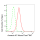 KD-Validated ANX7 Rabbit mAb (20 μl)