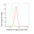 KD-Validated ANX7 Rabbit mAb (20 μl)