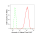 KD-Validated ANX5 Rabbit mAb (20 μl)