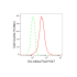 KD-Validated Src Rabbit mAb (20 μl)