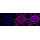 KD-Validated ERCC1 Rabbit mAb (20 μl)