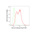 KD-Validated GC1q R Rabbit mAb (20 μl)