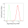 KD-Validated Arg2 Rabbit mAb (20 μl)