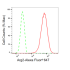 KD-Validated Arg2 Rabbit mAb (20 μl)