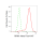 KD-Validated RRM1 Rabbit mAb (20 μl)