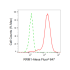 KD-Validated RRM1 Rabbit mAb (20 μl)
