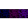 KD-Validated ARRB1 Rabbit mAb (20 μl)
