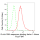 KD-Validated GRSF1 Rabbit mAb (20 μl)