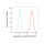 KD-Validated CASP9 Rabbit mAb (20 μl)