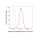 KD-Validated Citrate Synthetase Rabbit mAb (20 μl)