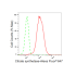 KD-Validated Citrate Synthetase Rabbit mAb (20 μl)