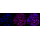 KD-Validated Citrate Synthetase Rabbit mAb (20 μl)