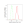 KD-Validated Tuberin Rabbit mAb (20 μl)