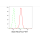 KD-Validated Stat3 Rabbit mAb (20 μl)