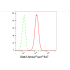 KD-Validated Stat3 Rabbit mAb (20 μl)