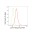 KD-Validated CD147 Rabbit mAb (20 μl)