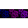 KD-Validated CD147 Rabbit mAb (20 μl)
