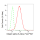 KD-Validated CD49e Rabbit mAb (20 μl)